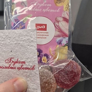 Борчанка удивилась с сюрпризу от РЖД 2