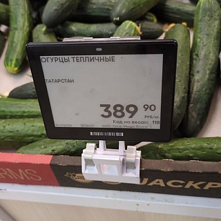 Вот живём в огуречной столице 2