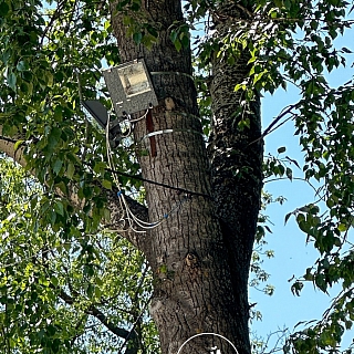 Этого в принципе не должно было произойти! 12