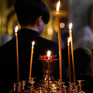 Борскую землю посетил Митрополит Нижегородский и Арзамасский Георгий 4