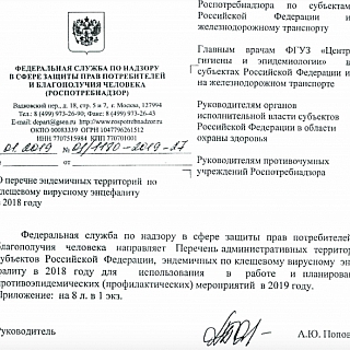 Роспотребнадзор внес город Бор в перечень эндемичных территорий по клещевому вирусному энцефалиту 1