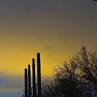 Борские теплицы способствуют творчеству 2