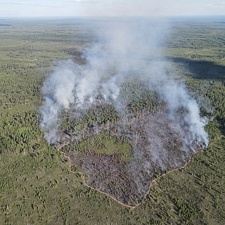 Порой на Бору с нашего молчаливого согласия происходят страшные вещи 7