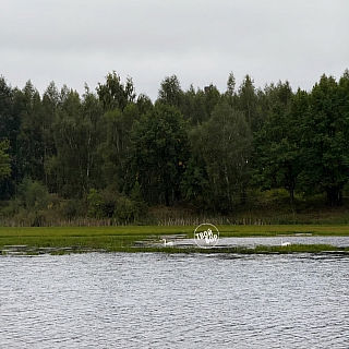 А в Октябрьском на озере – лебеди 2