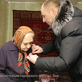 Столетней борчанке вручили медаль 3