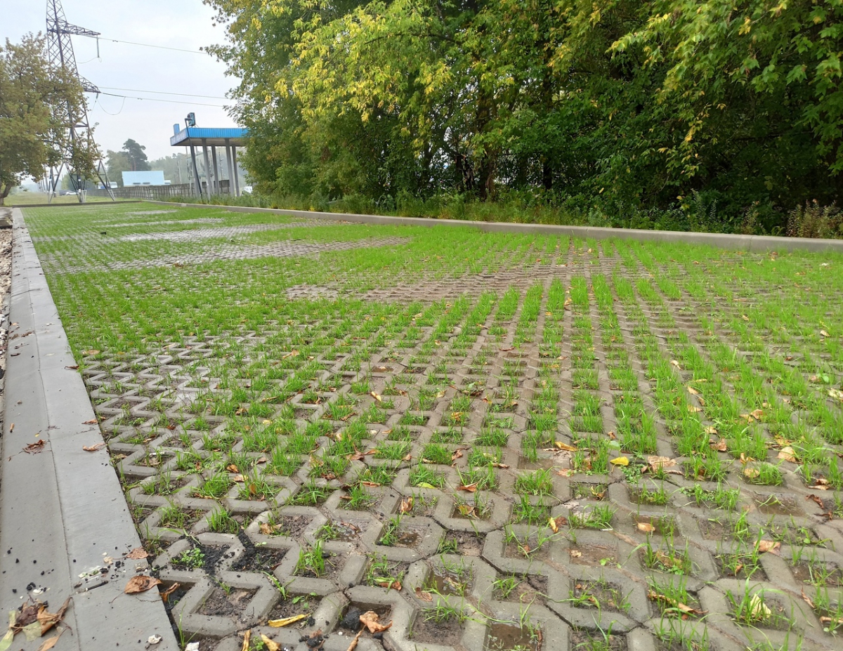 Две экопарковки появились в городе Бор