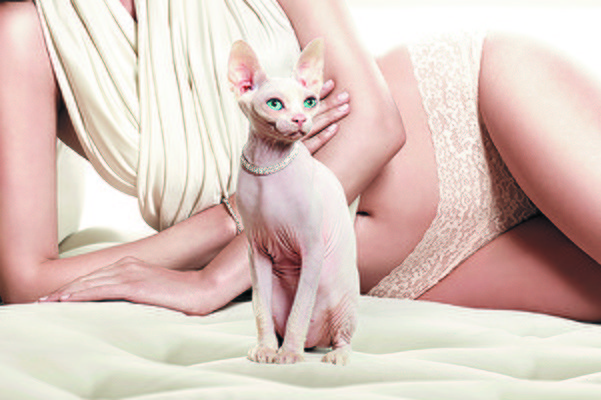 Акция октября от салона красоты "Гармония"