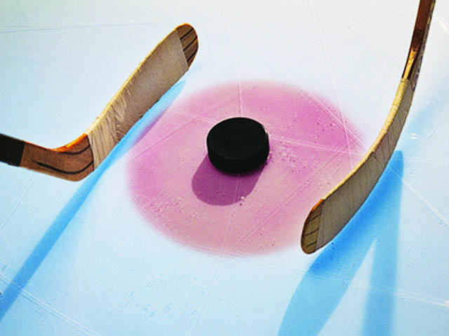 Суперкубок г.Бор по хоккею с шайбой