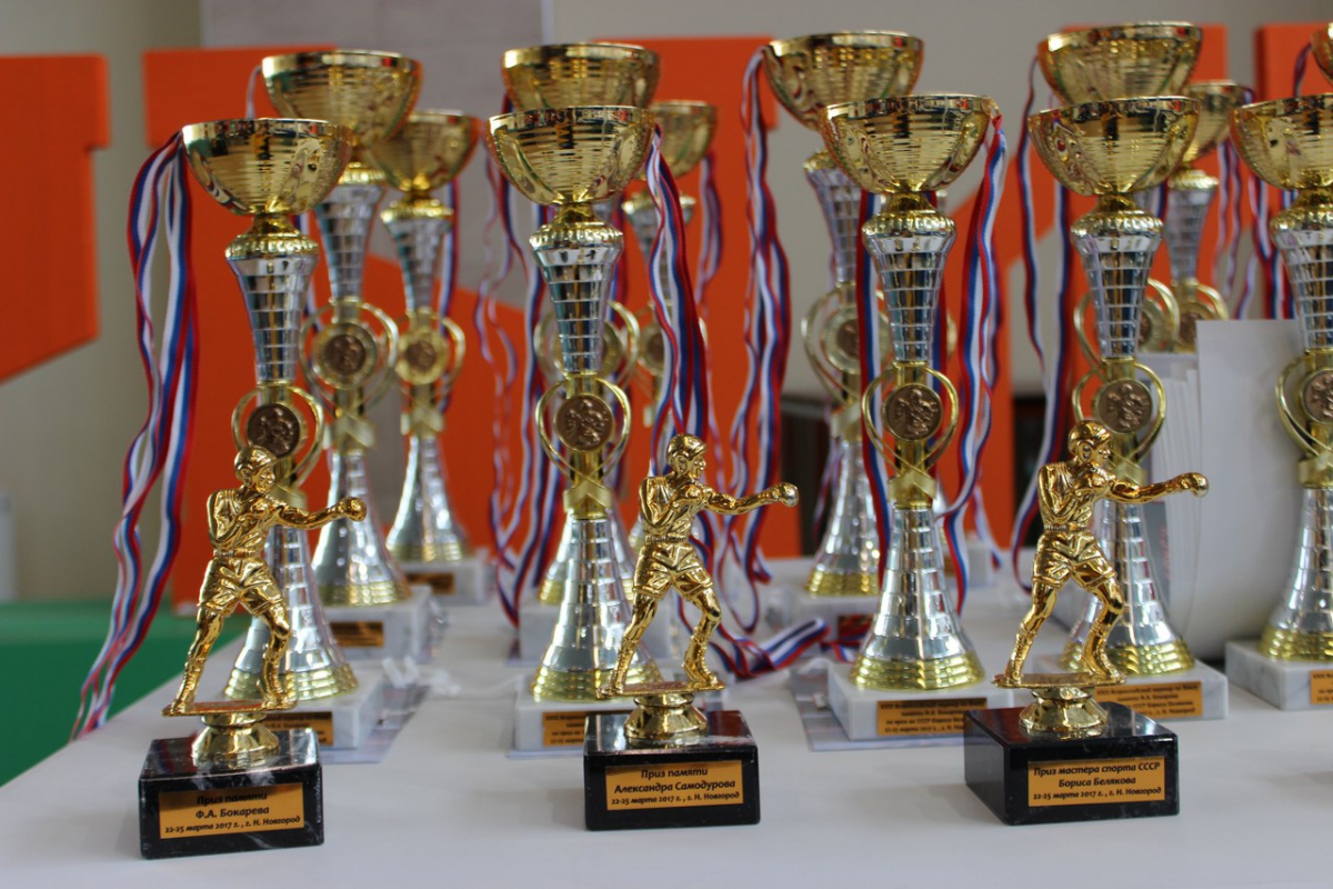 Всероссийский турнир по боксу