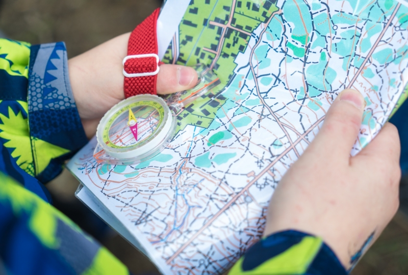 Соревнования по спортивному ориентированию прошли на Бору