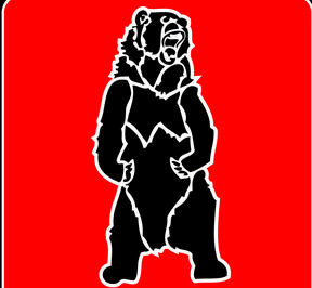 Спортивный клуб "Медведь" был внесен в Реестр некоммерческих организаций