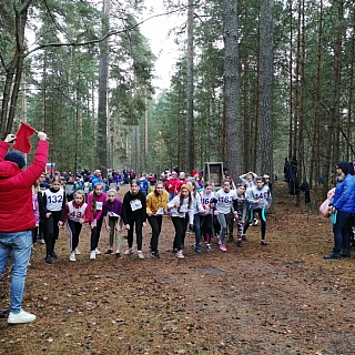 Первенство по легкоатлетическому кроссу прошло на Бору 2