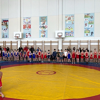 Соревнования по греко-римской борьбе 9