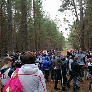 Первенство по легкоатлетическому кроссу прошло на Бору 4