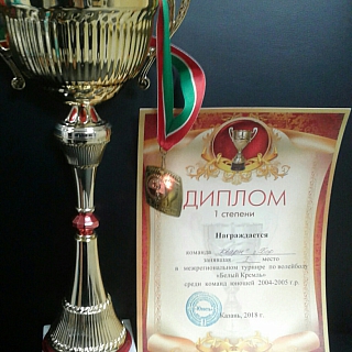 Межрегиональный турнир по волейболу "Белый кремль" 1