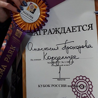 Борчанка Анастасия Прохорова показала лучший результат на Кубке России по конкуру 3