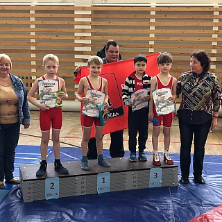 Соревнования по греко-римской борьбе 17