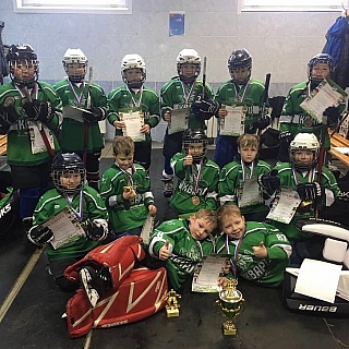 Турнир по хоккею с шайбой прошел на Бору 3