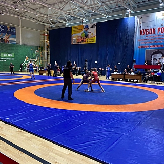 Кубок России по греко-римской борьбе прошел на Бору 3