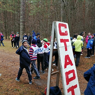 Первенство по легкоатлетическому кроссу прошло на Бору 1