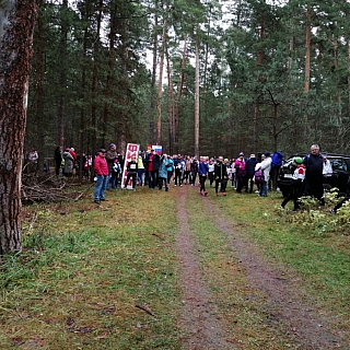 Первенство по легкоатлетическому кроссу прошло на Бору 9