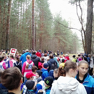 Первенство по легкоатлетическому кроссу прошло на Бору 3