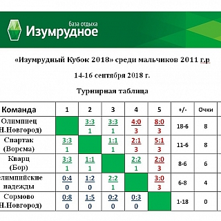 Областной турнир по футболу среди мальчиков 2011 г.р. 1