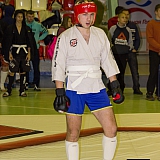 V| Международный Турнир по Смешанным Единоборствам 31