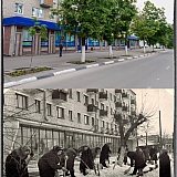 Город Бор 18