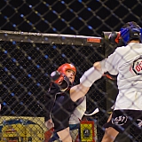 Турнир по смешанным единоборствам "Непобежденный" 119