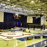 V| Международный Турнир по Смешанным Единоборствам 125