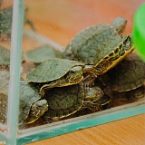 День города  - 2019 25