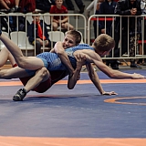 Кубок России по греко-римской борьбе 65