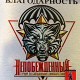 V| Международный Турнир по Смешанным Единоборствам 167