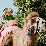 День города  - 2018 14