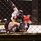 Турнир по смешанным единоборствам "Непобежденный" 101