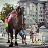День города  - 2018 2