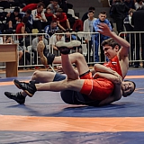 Кубок России по греко-римской борьбе 66