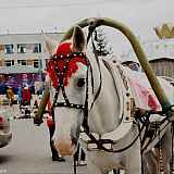 День города  - 2019 59