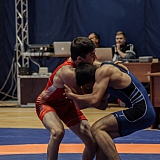 Кубок России по греко-римской борьбе 19