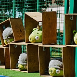 День физкультурника - 2018 220