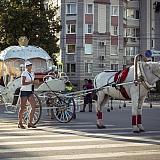 День города  - 2018 4