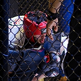 Турнир по смешанным единоборствам "Непобежденный" 149