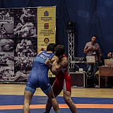 Кубок России по греко-римской борьбе 21