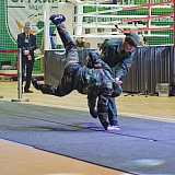 Турнир по смешанным единоборствам "Непобежденный" 88