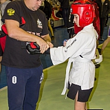 V| Международный Турнир по Смешанным Единоборствам 88