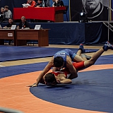 Кубок России по греко-римской борьбе 22