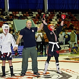 V| Международный Турнир по Смешанным Единоборствам 28