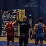 Кубок России по греко-римской борьбе 17