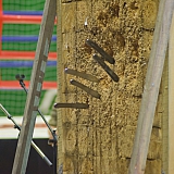 Турнир по смешанным единоборствам "Непобежденный" 22